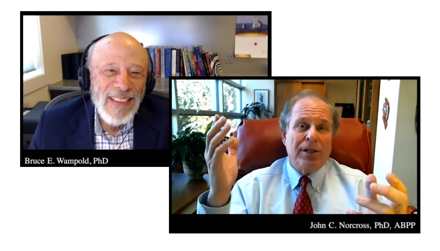 Bruce Wampold PhD and John Norcross PhD Discussing the Future of Psychotherapy